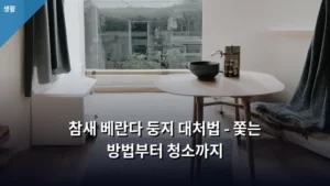 참새 베란다 둥지 대처법 – 쫓는 방법부터 청소까지