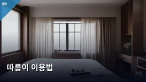 따릉이 이용법 완벽 가이드: 서울 라이딩의 모든 것 알아보기