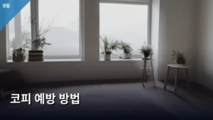 코피 예방 방법, 일상에서 실천하는 생활 습관부터 관리법까지 총정리했다