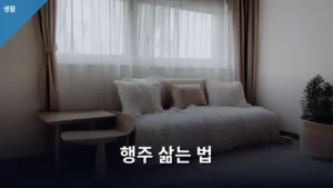 행주 삶는 법, 청결하고 위생적인 주방을 만드는 비법 대공개