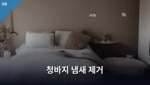 제대로 된 청바지 냄새 제거, 이제 집에서 끝내자!