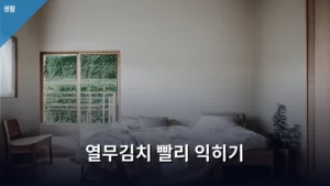 열무김치 빨리 익히는 비법, 실패 없이 새콤하게 만드는 방법 공개