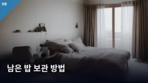 남은 밥 보관 방법, 갓 지은 밥처럼 신선하게 먹는 비법 공개한다!