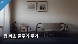 초보도 실패 없는 우리 집 화초 물주기 주기 완벽 가이드