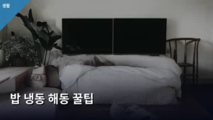 밥 냉동 해동 꿀팁, 갓 지은 밥처럼 맛있게 되살리는 비법 공개