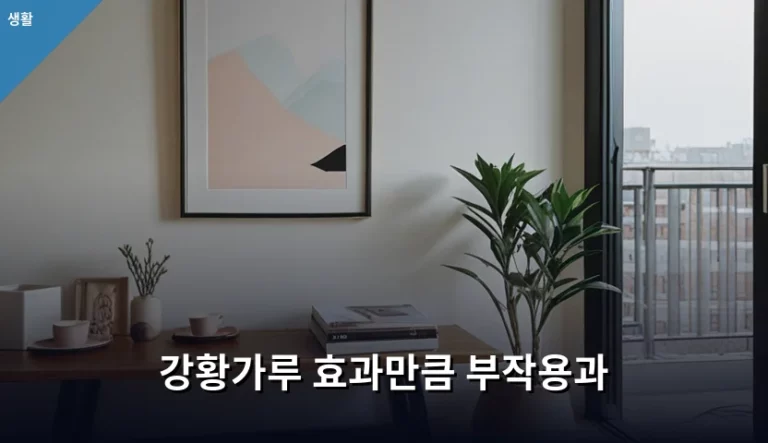 강황가루 효능과 섭취 시 주의해야 할 부작용 총정리