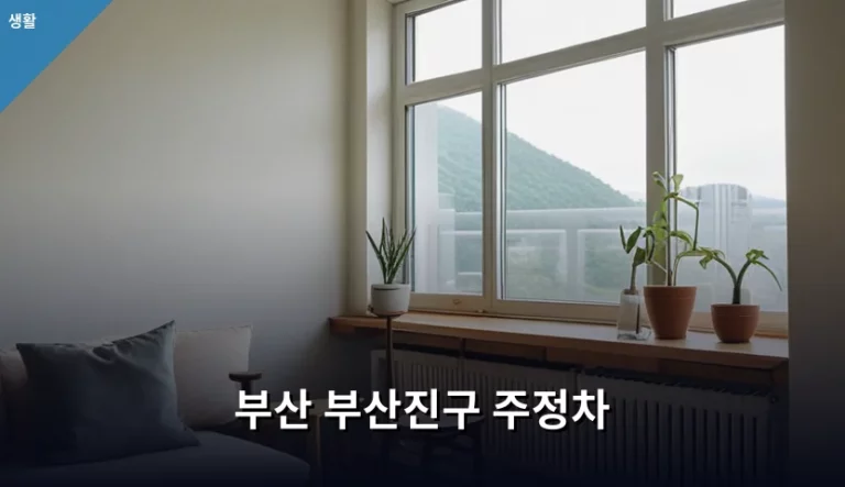 부산 부산진구 주정차 단속 구역 및 이용 팁 총정리