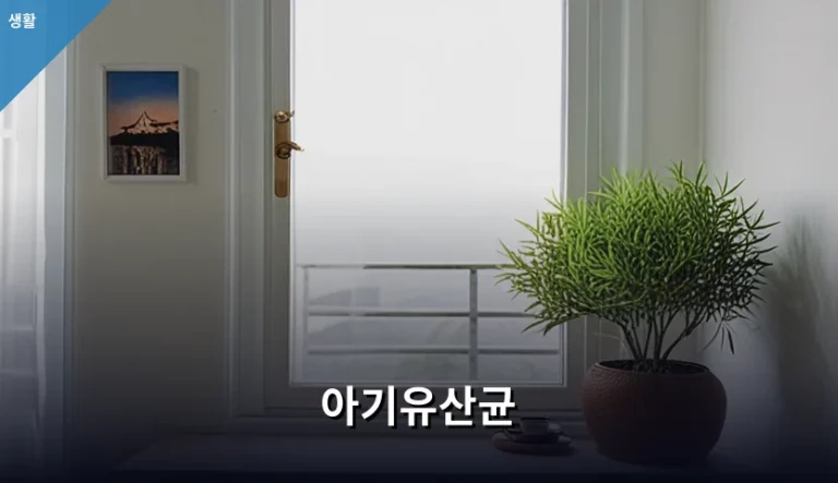 아기유산균 선택 기준과 올바른 섭취 방법 가이드