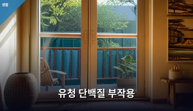 유청 단백질 부작용 원인과 안전한 섭취 방법 안내