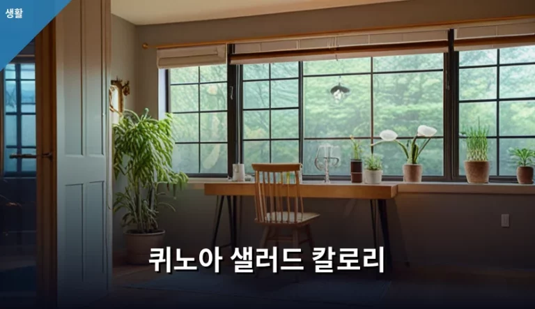 퀴노아 샐러드 칼로리와 건강한 섭취 가이드
