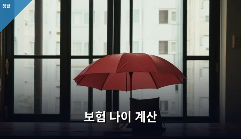 보험 나이 계산 방법과 보험료 절약 가이드