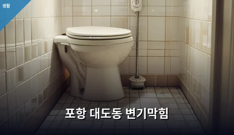 포항 대도동 변기막힘 해결 방법과 전문 업체 비용 안내